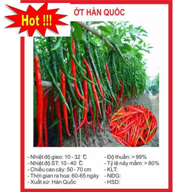 Hạt Giống Ớt hàn Quốc 30 Hạt