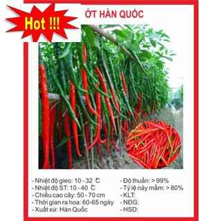 Hạt Giống Ớt hàn Quốc 30 Hạt