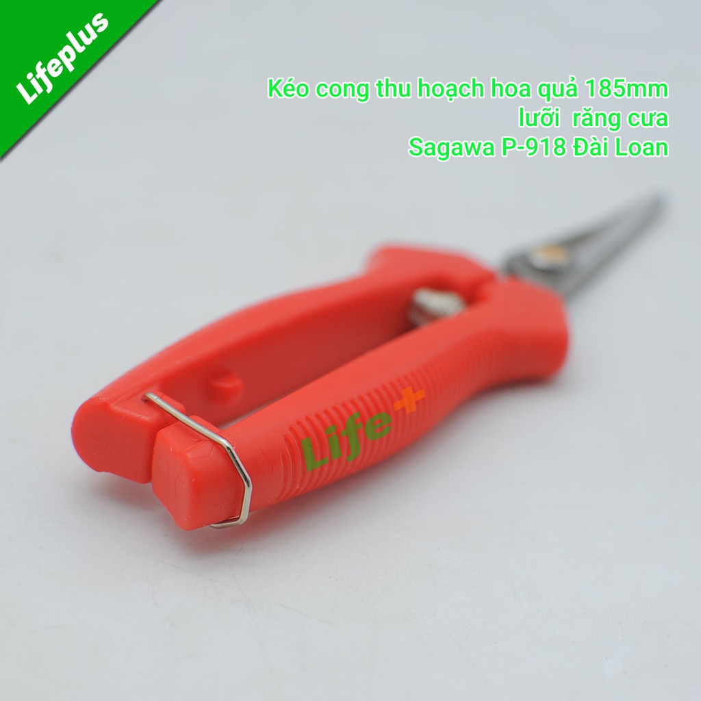 Kéo mũi cong thu hoạch hoa quả 180mm Sagawa P-918