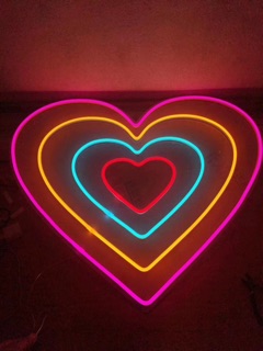 Led Neon 12v