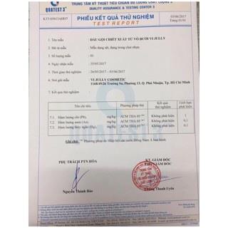 Dầu Gội Mọc Tóc VIJULLY [CHÍNH HÃNG], Dầu Gội Bưởi - Giúp Kích Thích Mọc Tóc,Làm Dài Tóc,Phục Hồi Tóc Hư Tổn | BigBuy360 - bigbuy360.vn