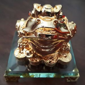 Cóc Thiềm Thừ vàng đế