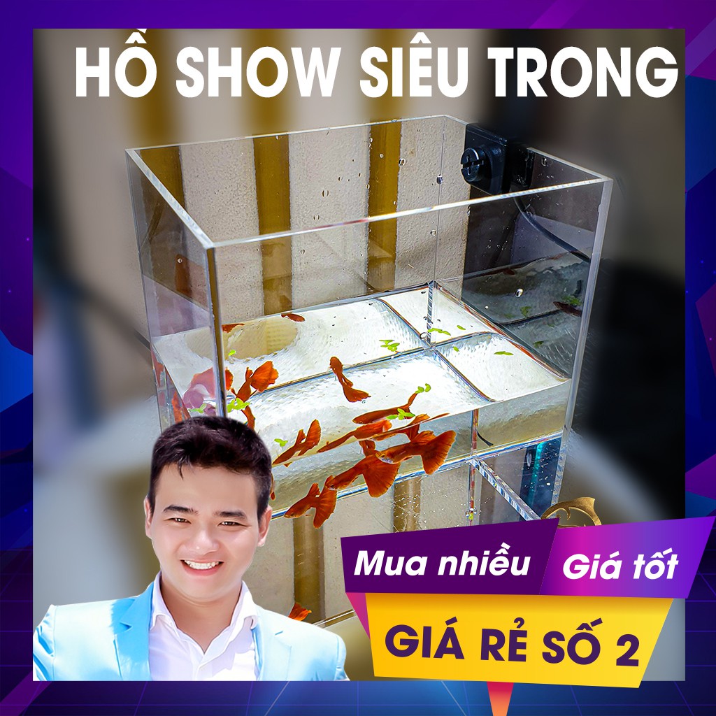 Hồ show cá Mica Siêu trong