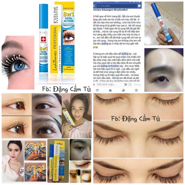 Mọc mi eveline