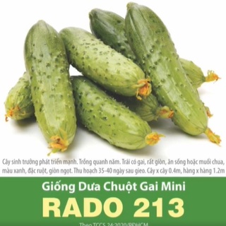 Hạt giống dưa chuột chùm / dưa leo chùm gai mini 1gr