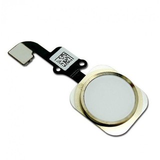 Nút Home iPhone 5s / 6 / 6 Plus / 6s / 6S Plus