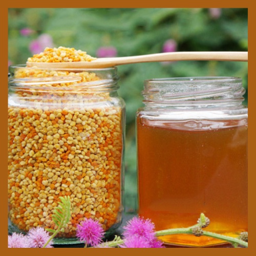 Phấn hoa mật ong 500gr