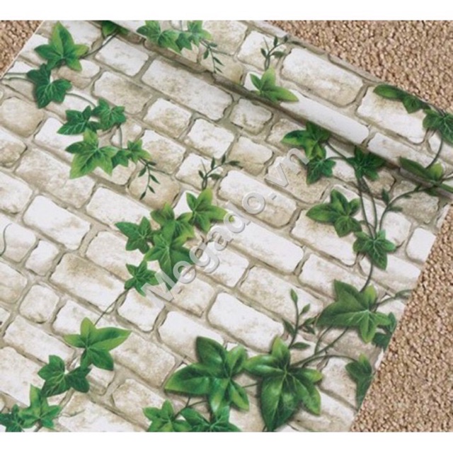 DeCal dây leo xanh 🌿🌿