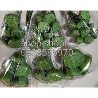 GƯƠNG SEN GIẤY(1 cái)