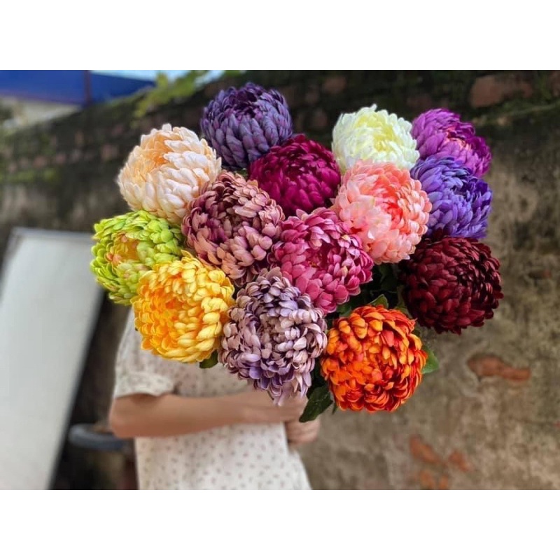 Hoa Cúc Mẫu đơn bông to