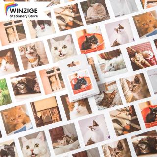 Winzige Bộ 45 Miếng Dán Trang Trí Hình Mèo Dễ Thương