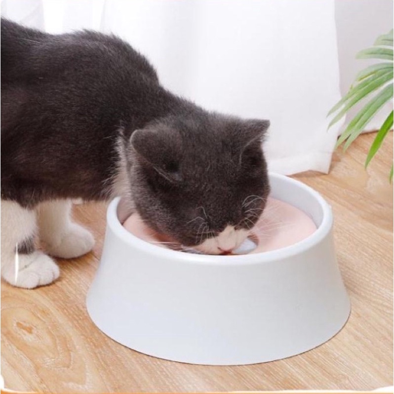 Bát uống nước tự dâng cho chó mèo cao cấp