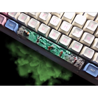 [ ORDER ] NÚT BÀN PHÍM / KEYCAP RESIN CÁ KOI PHÍM SPACE
