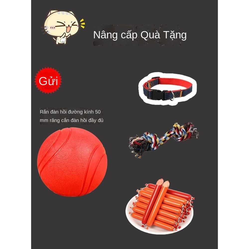 ✐Dây xích cho chó tự động có thể thu vào Teddy con chó nhỏ cỡ vừa đi bộ dây xích cổ áo chó săn lông vàng
