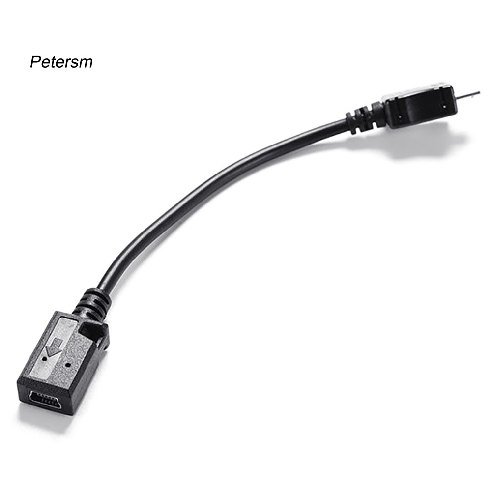 Bộ 2 Đầu Chuyển Đổi Từ Cổng Micro Usb Đực Sang Đầu Cái 5 Pin