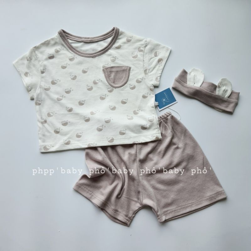 bộ nhím cotton Hàn mềm mát siêu dễ thương cho bé trai/bé gái