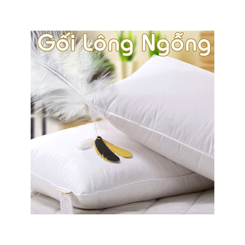 Gối lông ngỗng 40x60