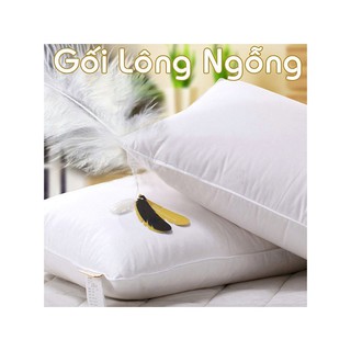 Gối lông ngỗng 40x60