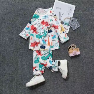 Bộ cotton sợi tre