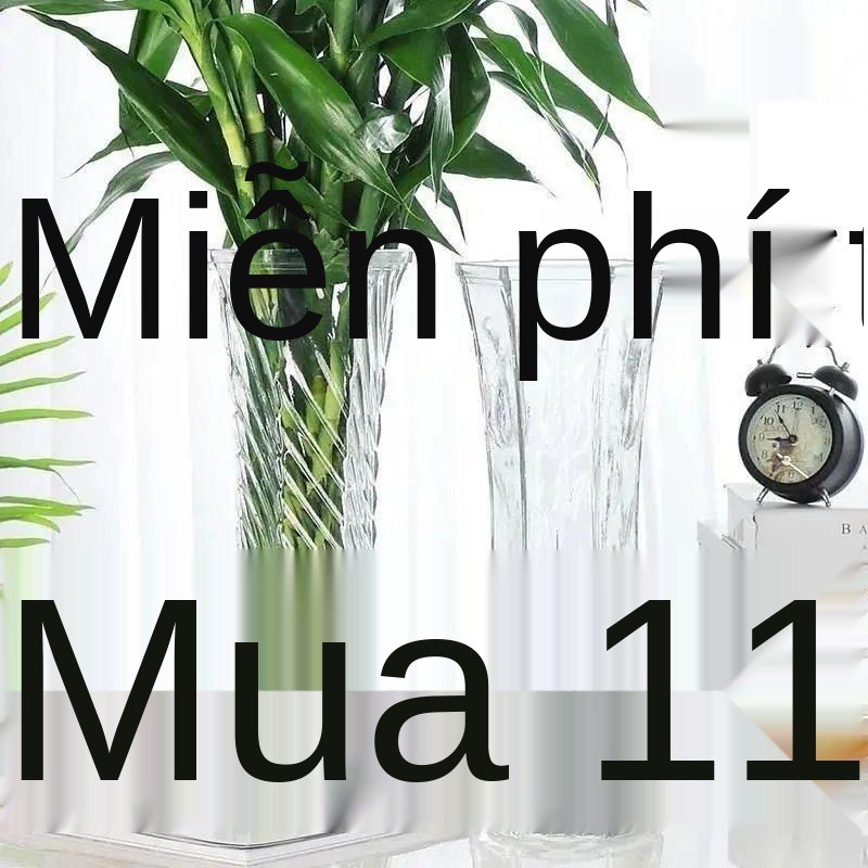 ۩Bình thủy tinh dày dặn, cắm hoa phòng khách, bình hoa trúc phú quý thủy canh, bình hoa to trong suốt phong cách Châu Âu