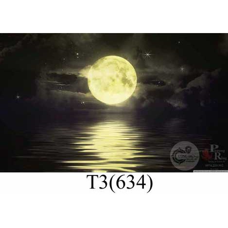 Tranh dán bể cá 3d nhiều kích thướt ( 60x40, 80x40, 80x50 , 90x50, 100x50...)
