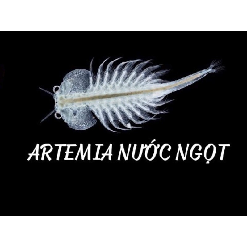 [Mã 229FMCGSALE giảm 8% đơn 500K] 🐠 Trứng Artemia nước ngọt dạng viên nhộng