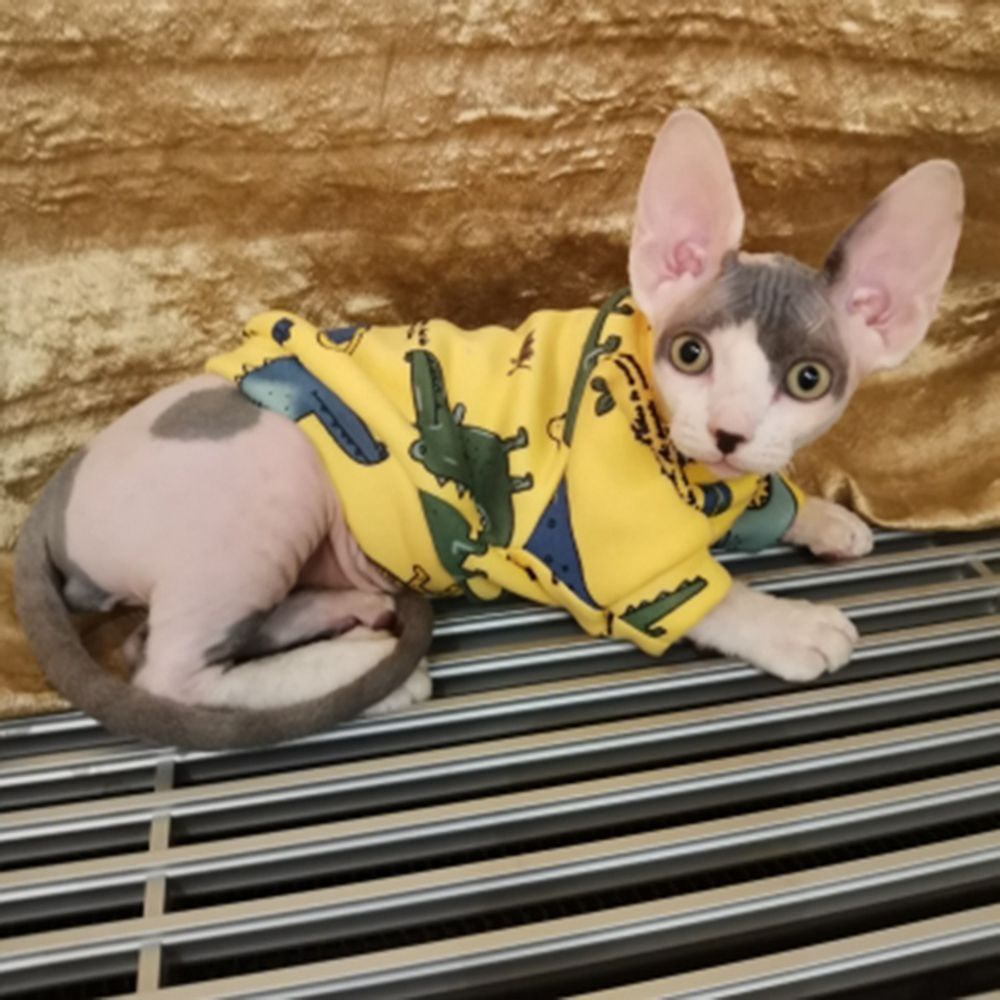 Áo thun cotton in hình chó Bull Pháp dễ thương giữ ấm mùa đông cho thú cưng