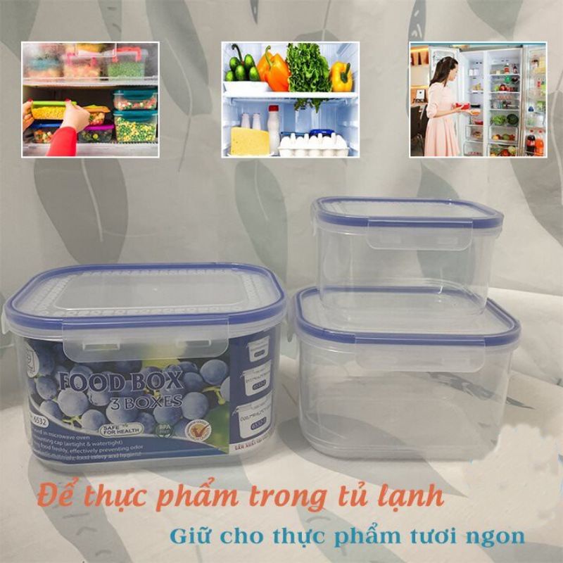Bộ 3 Hộp Đựng Thực Phẩm Việt Nhật bảo quản thực phẩm tươi, dùng được lò vi sóng an toàn cho sức khỏe