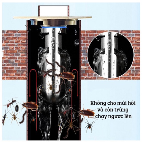 Lõi Thoát Sàn Ngăn Mùi Nhà Tắm - INOX 304 Lắp Thoát Sàn Chống Mùi Hôi Ngăn Vi Khuẩn Trào Ngược Lên-Foxis