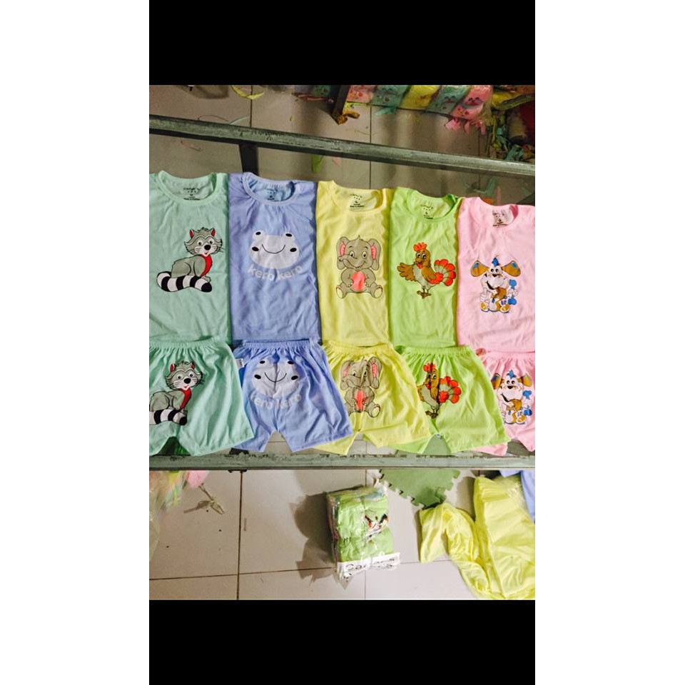Combo 50 bộ catter