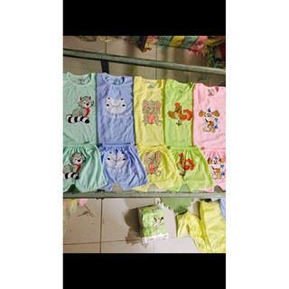 Combo 50 bộ catter