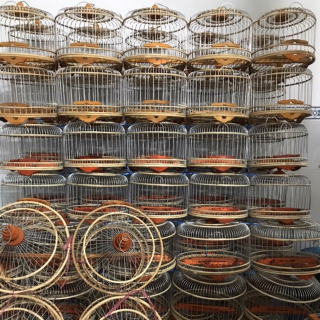Combo lồng cu nhôm trung, áo rằn ri