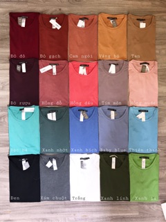 Áo phông trơn cao cấp