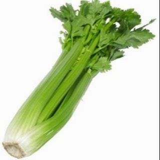 Cần tây Đà Lạt