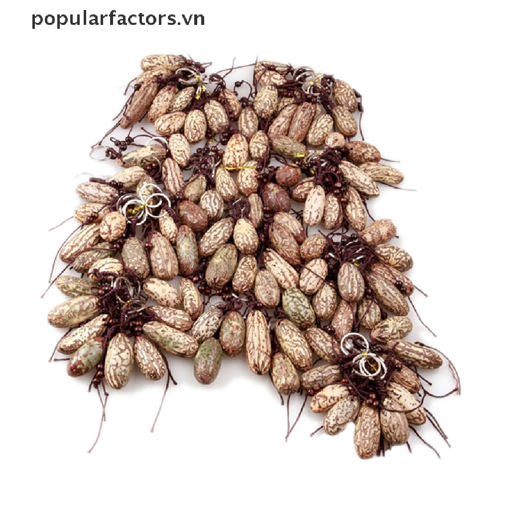 1 Móc Khóa Hình Trái Cây Bồ Đề Nhựa Kích Thước 6cm 1 Móc Khóa Hình Trái Cây Bồ Đề Bằng Nhựa Kích Thước 6cm 1 Chiếc