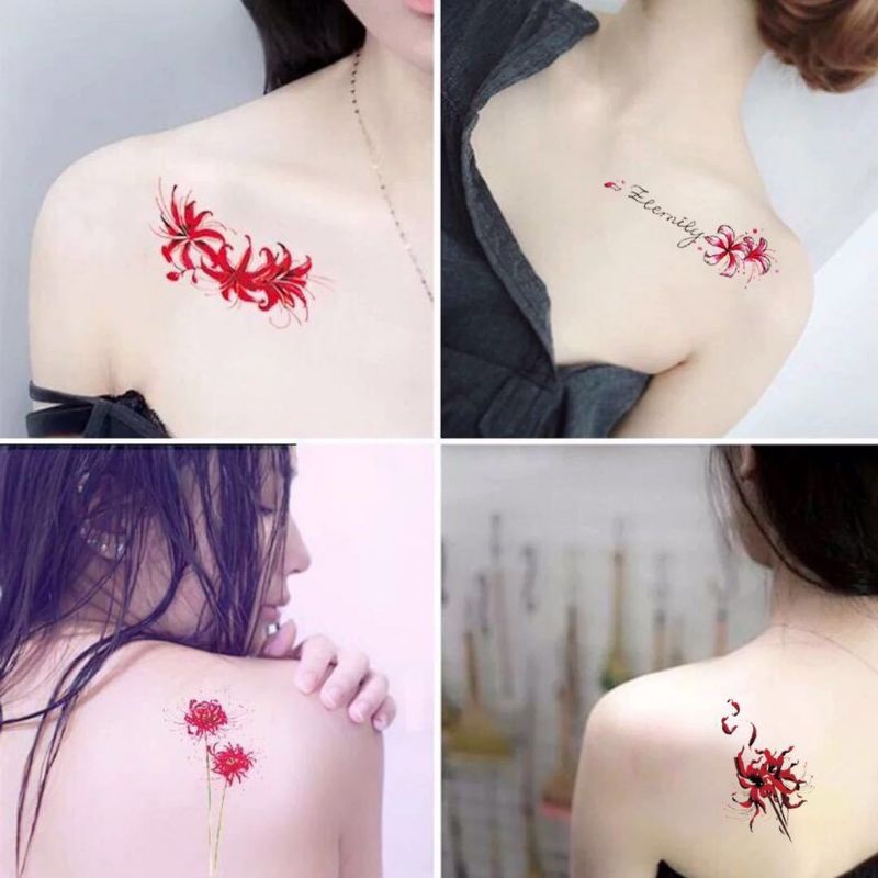 Set 20,30 săm dán hình hoa bỉ ngạn ngẫu nhiên
