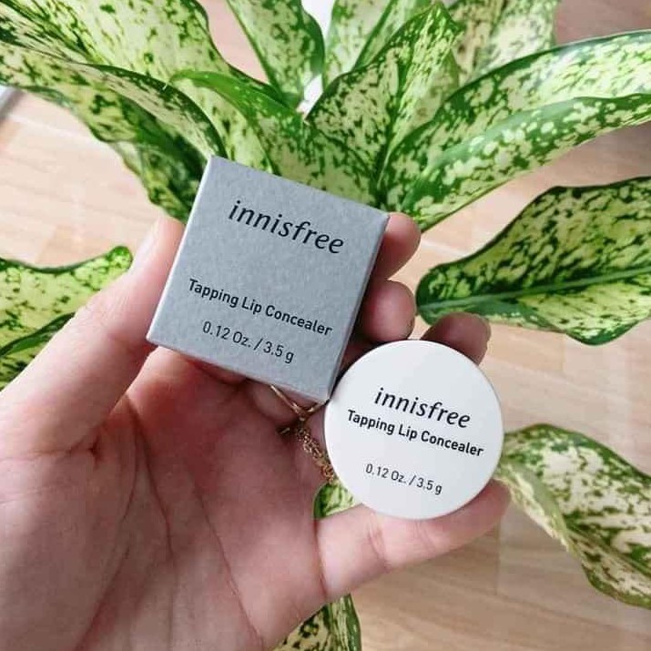 Kem Che Khuyết Điểm Môi Innisfree Tapping Lip Concealer 3.5g | BigBuy360 - bigbuy360.vn