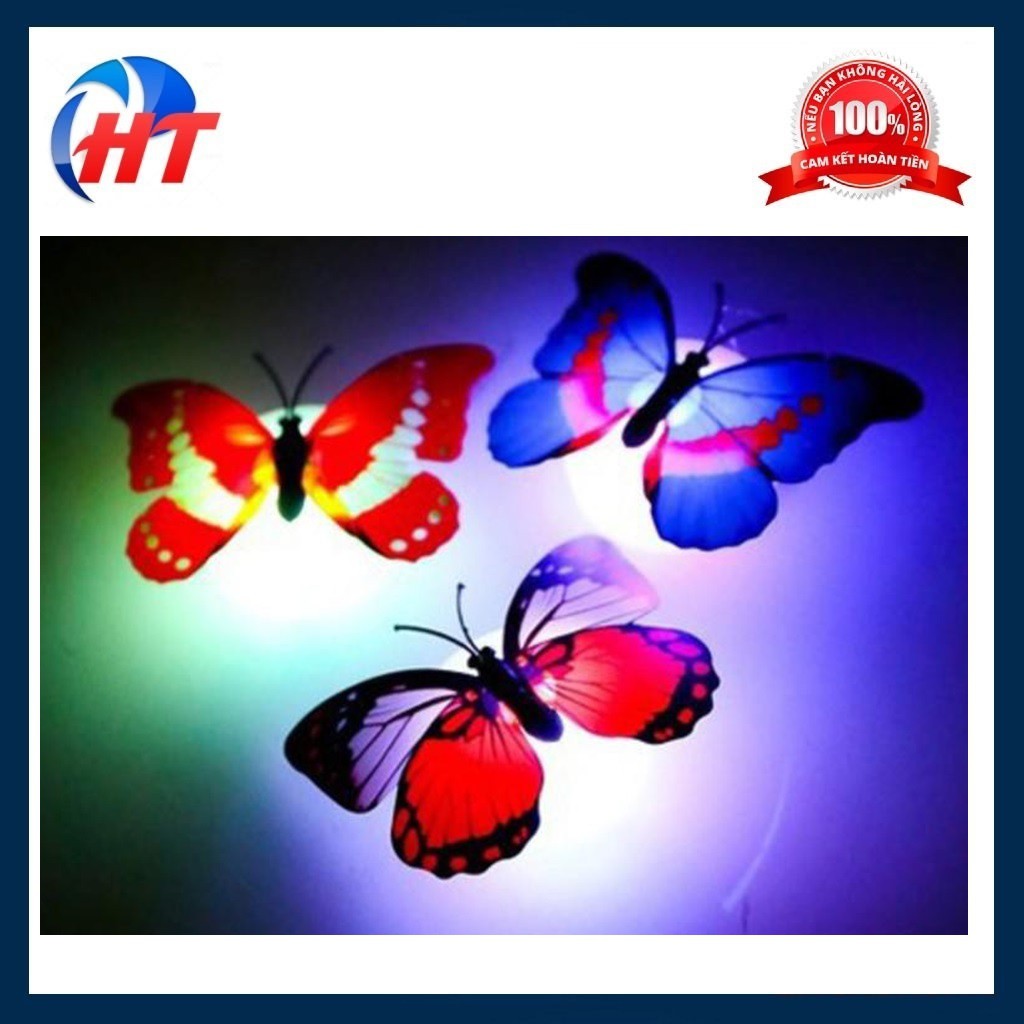 Combo 3 đèn LED hình con bướm xinh xắn dán tường