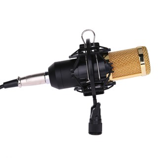 Micro cao cấp BM800