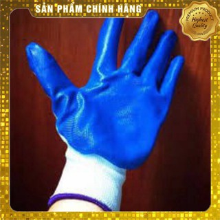 Găng tay xanh 1 bịch 12 chiếc