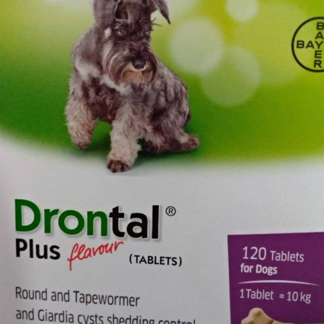 Máy Tính Bảng Drontal Plus Dog - 1