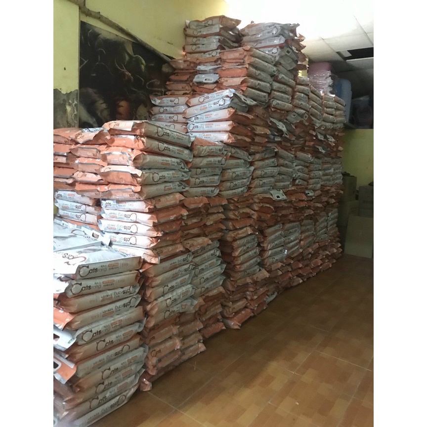 Catsrang bao 5kg thức ăn hạt cho mèo Hàn Quốc_Tặng thêm xúc xích