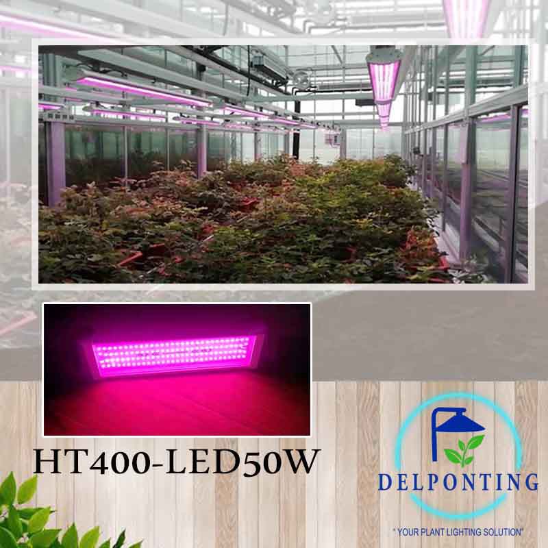 Đèn Led Kích Thích Tăng Trưởng Cho Cây Trồng DELPONTING HT400 LED 50WI