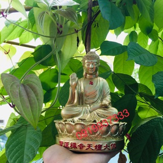 Tượng phật A Di Đà màu đồng