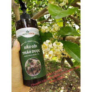 Dầu gội thảo dược