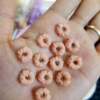 Hoa đậu ( gạt ảnh xem màu)