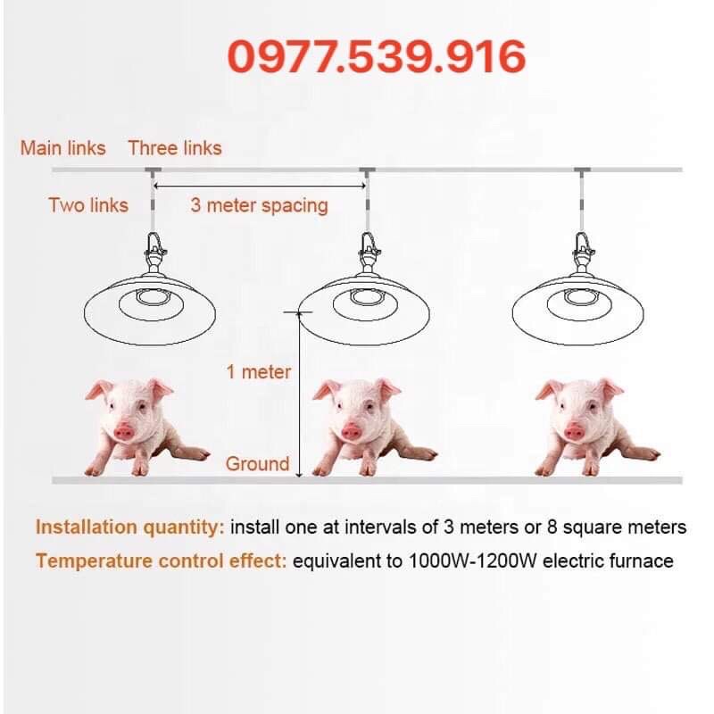 ĐÈN SƯỞI BIOGAS