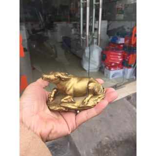 Tượng trâu đồng vàng đặt bàn
