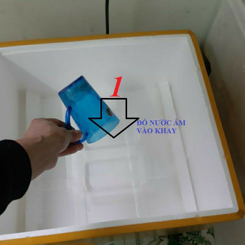 Máy ấp trứng mini 30-46 quả lắp ráp tiết kiệm điện tỷ lệ nở cao