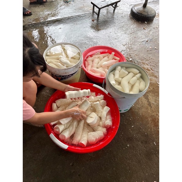 Củ sắn - khoai mì bở tơi, thơm ngon 1kg trồng trên nương điện biên